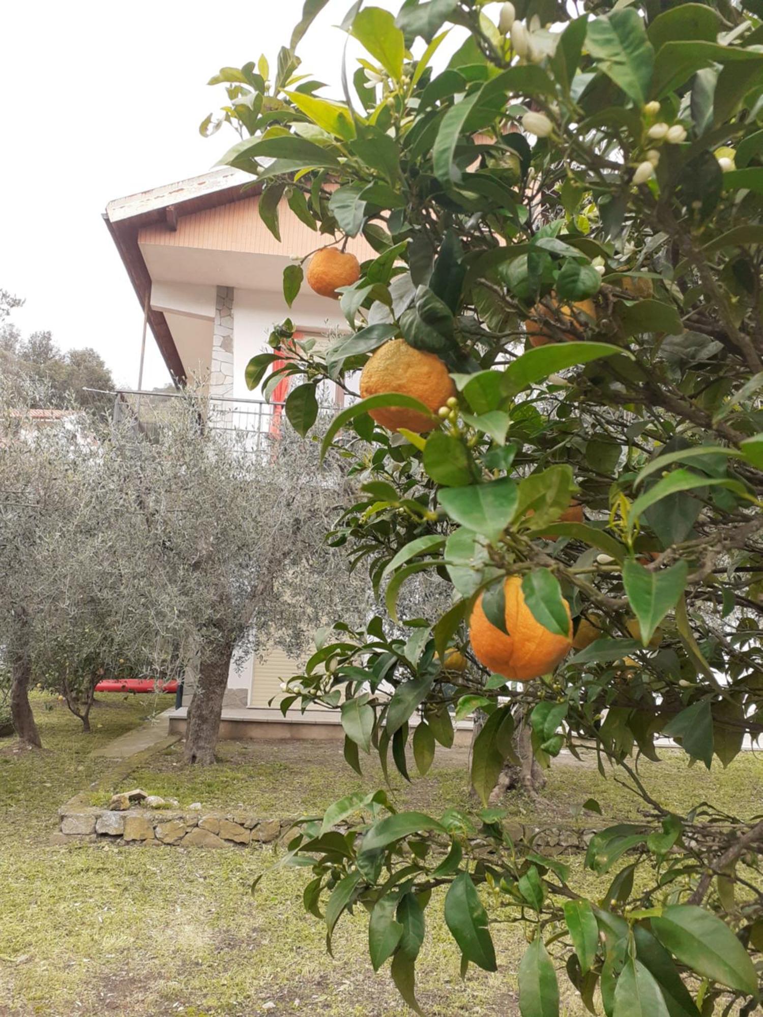Casetta Al Mare Giustenice ภายนอก รูปภาพ